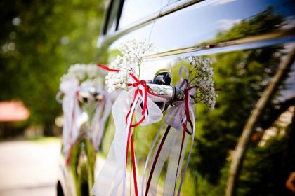 wedding-transfers